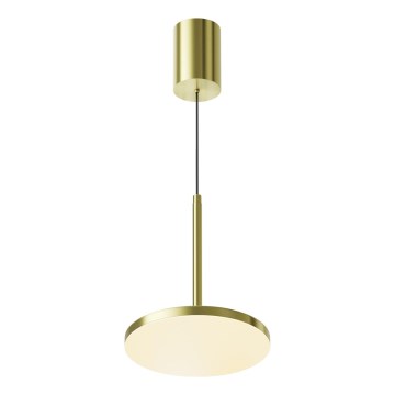 Maytoni P076PL-L12W3K-BS - Lampadario LED a sospensione con filo PLATO LED/12W/230V 3000K oro