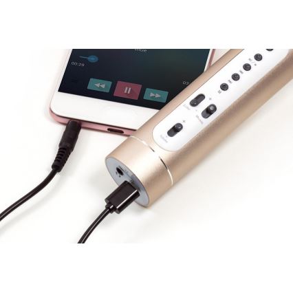 Microfono karaoke 6W/5V 1500 mAh Bluetooth dorato