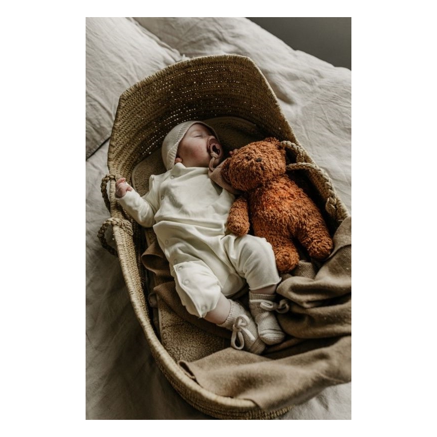 Moonie - Amico di coccole con una melodia e luce orsetto caramello