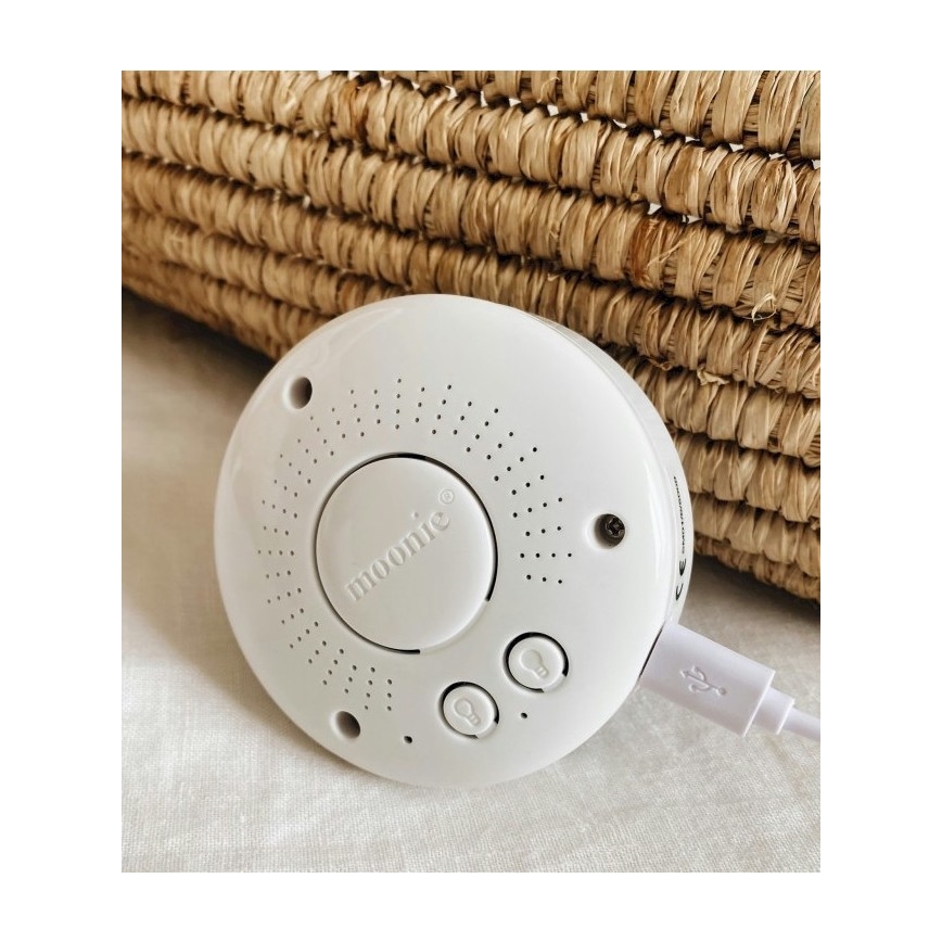 Moonie - Amico di coccole con una melodia e luce orso argento