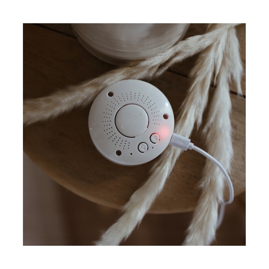 Moonie - Amico di coccole con una melodia e luce orso argento