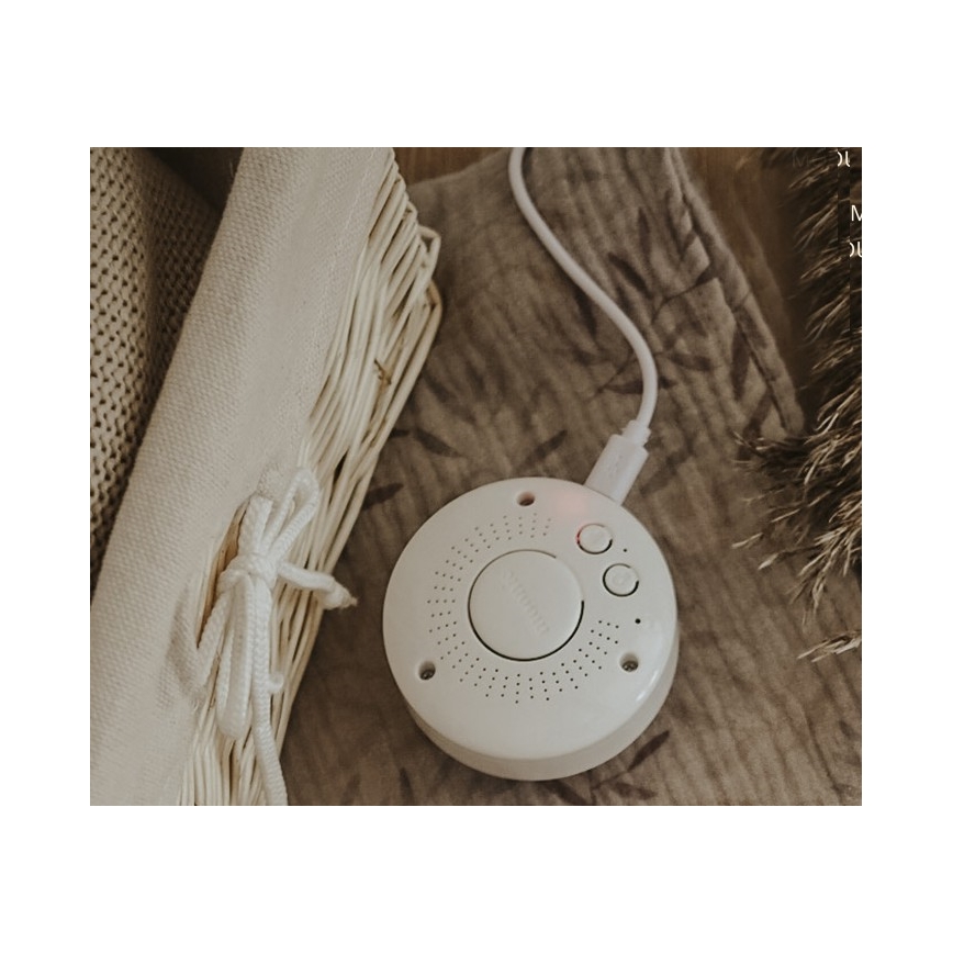 Moonie - Compagno di coccole con melodia e luce coniglietto powder