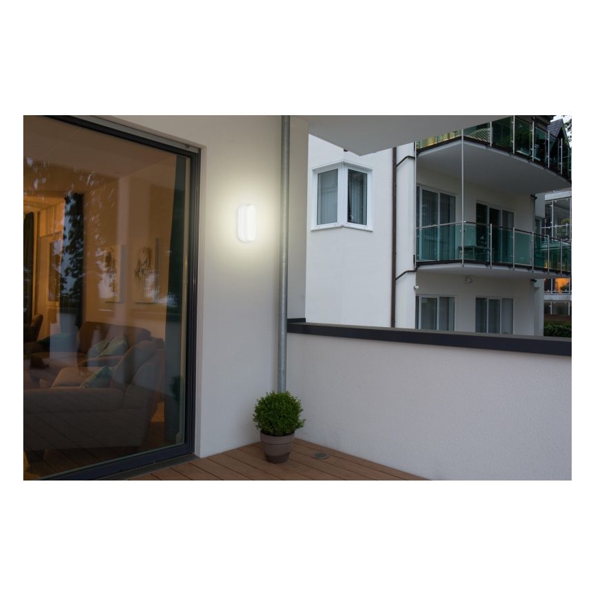 Müller-Licht - Plafoniera LED da esterno con sensore IPSUM LED/8W/230V IP54