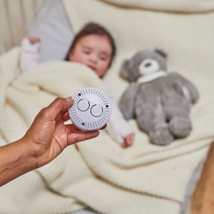 Nattou - Compagno di coccole con melodia e luce SLEEPY BEAR 4in1 grigio