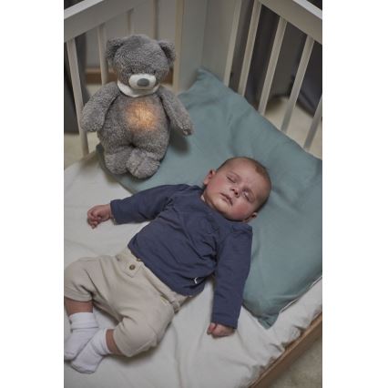 Nattou - Compagno di coccole con melodia e luce SLEEPY BEAR 4in1 grigio