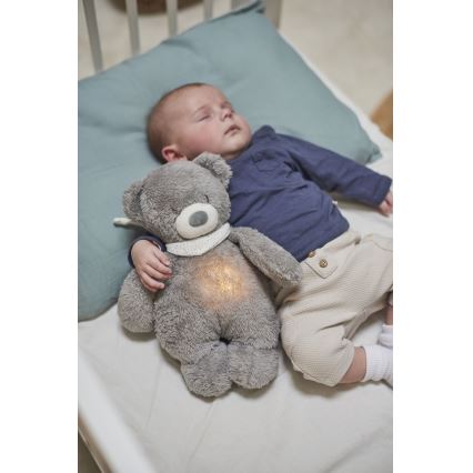 Nattou - Compagno di coccole con melodia e luce SLEEPY BEAR 4in1 grigio