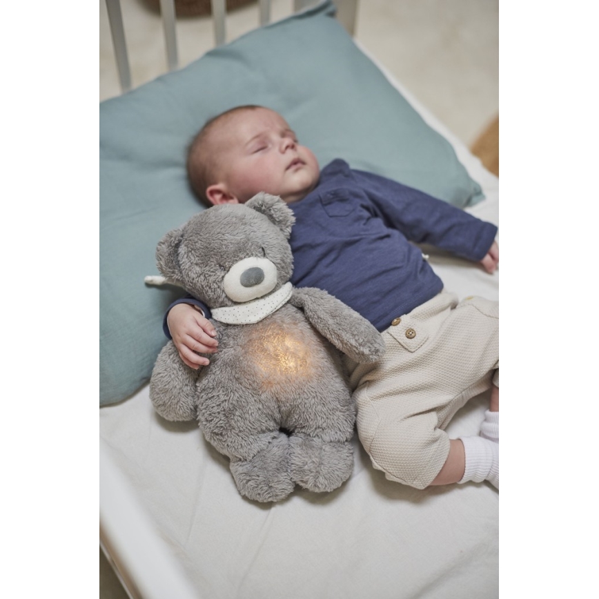 Nattou - Compagno di coccole con melodia e luce SLEEPY BEAR 4in1 grigio