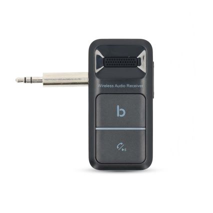 Portatile Bluetooth AUX ricevitore