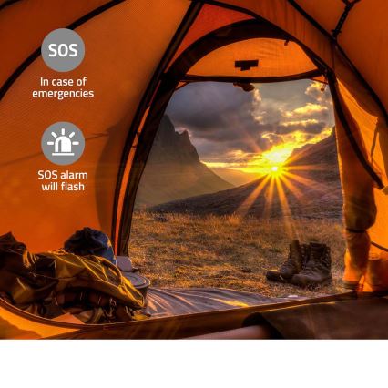 Radio DAB+/FM a manovella con pannello solare integrato e torcia a LED 5V/2500 mAh, verde/nero