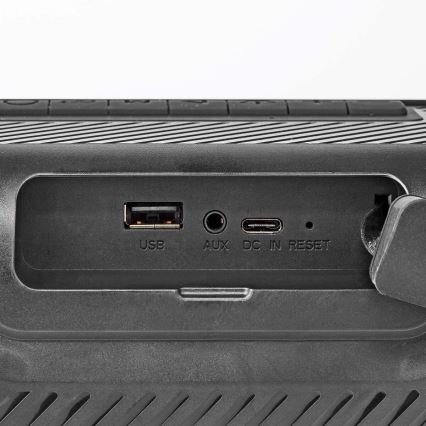Altoparlante LED RGB ricaricabile 45W/3000 mAh IPX5