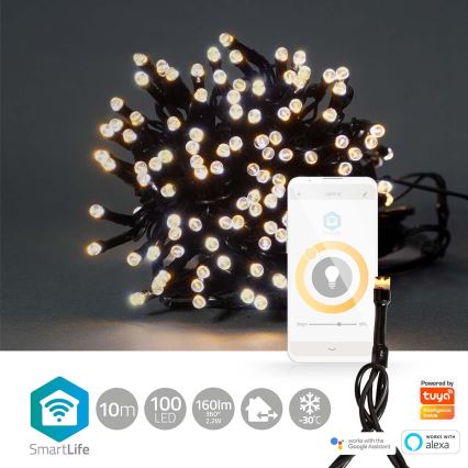 LED Catena di Natale da esterno 100xLED/8 funzioni 15m IP65 Wi-Fi Tuya caldo bianco