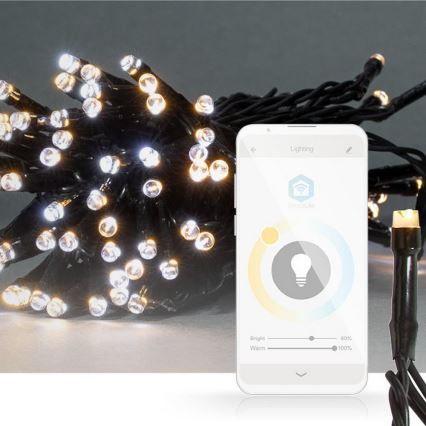 Catena luminosa di Natale a LED 50xLED/8 funzioni 5 m IP65 Wi-Fi Tuya