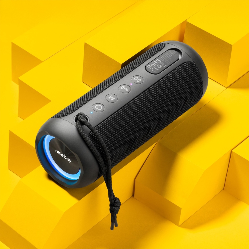 Niceboy Polaris - LED Autoparlante wireless con microfono 30W/4000 mAh IPX7 nero
