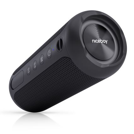 Niceboy Polaris - LED Autoparlante wireless con microfono 30W/4000 mAh IPX7 nero