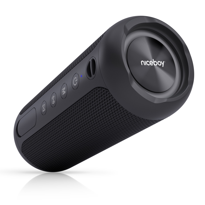 Niceboy Polaris - LED Autoparlante wireless con microfono 30W/4000 mAh IPX7 nero