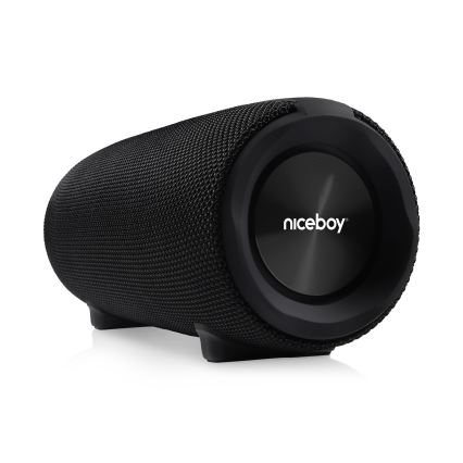 Niceboy Titan 4 - LED Autoparlante wireless con microfono e power bank funzione 50W/4000 mAh IPX7 nero
