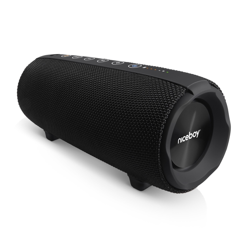 Niceboy Titan 4 - LED Autoparlante wireless con microfono e power bank funzione 50W/4000 mAh IPX7 nero