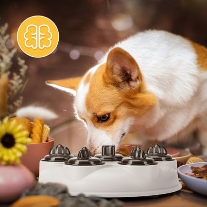 Nobleza - Gioco interattivo per cani grigio