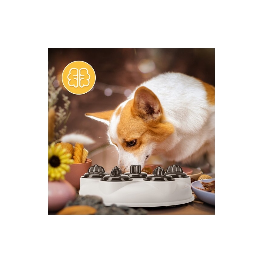 Nobleza - Gioco interattivo per cani grigio