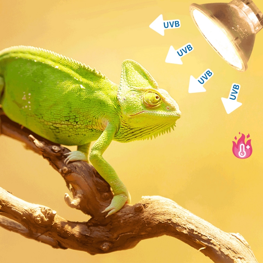 Nobleza - Lampada UVB per terrari E27/50W/230V