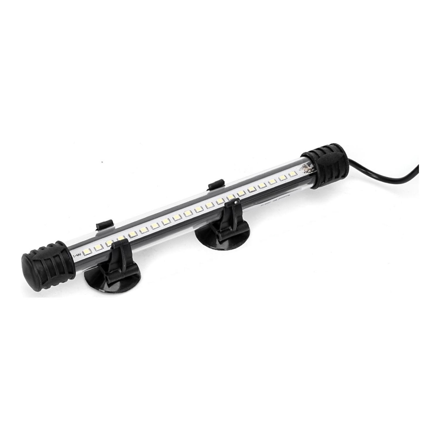 Nobleza - LED Illuminazione acquario LED/1W/230V IPX7 20 cm