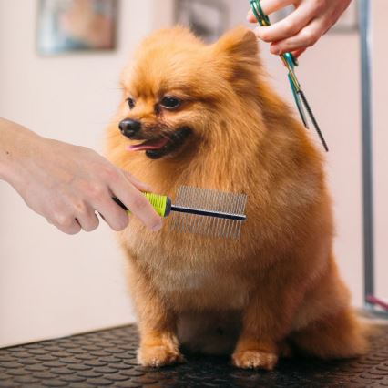Nobleza - Pettine bifacciale per cani e gatti verde