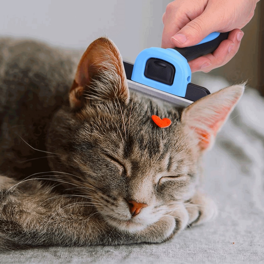 Nobleza - Spazzola per cani e gatti blu 10,5 cm