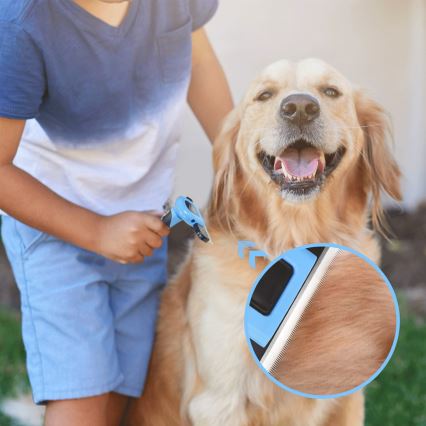 Nobleza - Spazzola per cani e gatti blu 10,5 cm