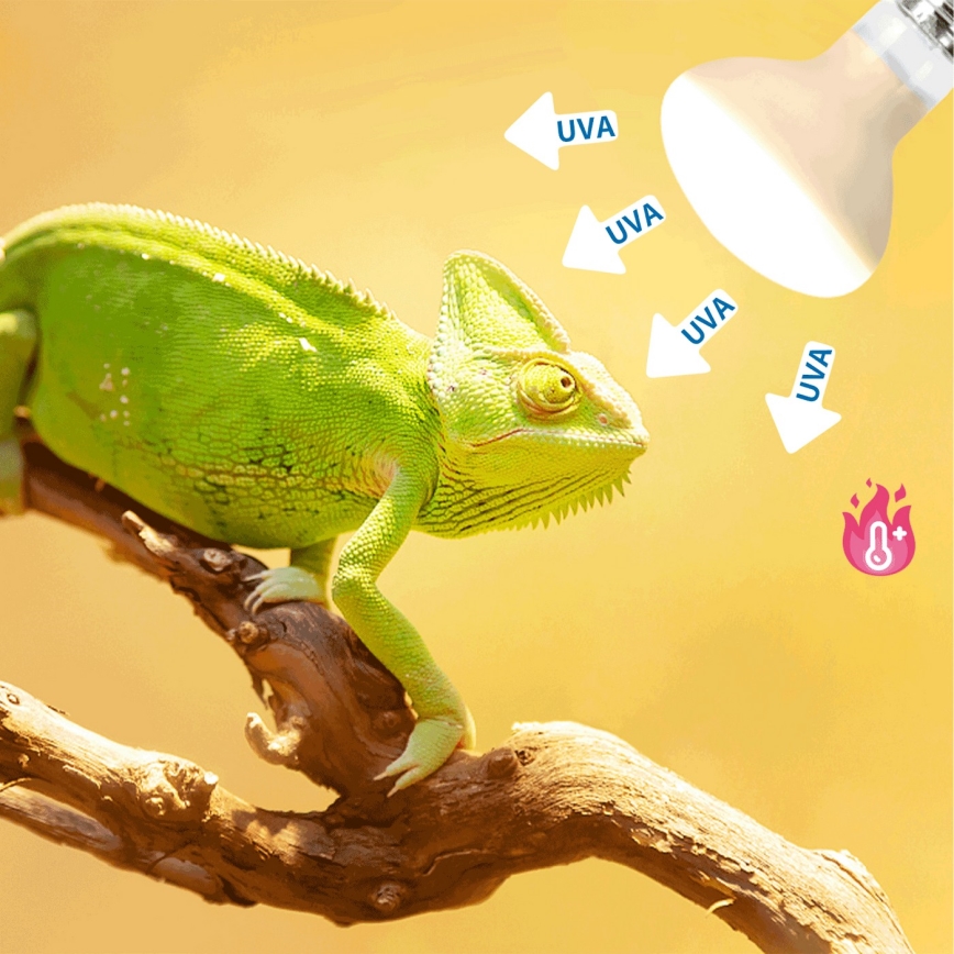 Nobleza - UVA Lampadina per terrari E27/25W/230V IP54