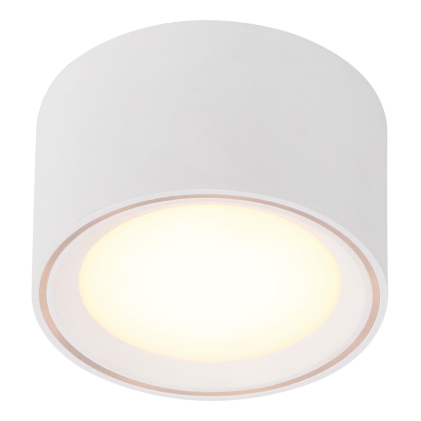 Nordlux - Faretto LED dimmerabile FALLON LED/5,5W/230V bianco