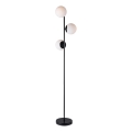 Nordlux - Lampada con piedistallo LILLY 3xE14/25W/230V nero