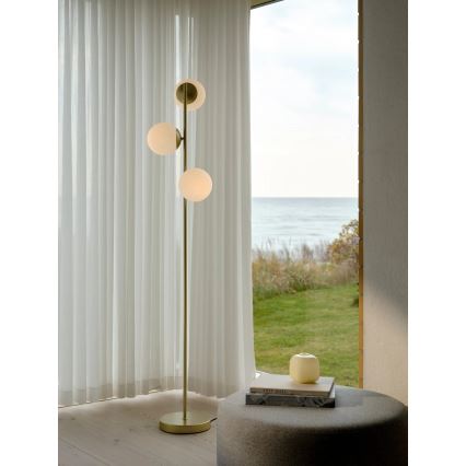 Nordlux - Lampada da terra LILLY 3xE14/10W/230V ottone