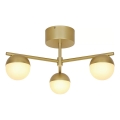 Nordlux - Lampadario a plafone CONTINA 3xG9/5W/230V ottone