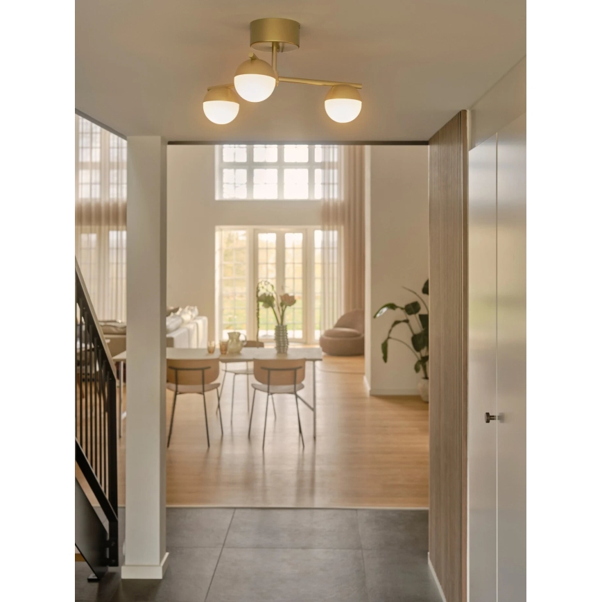 Nordlux - Lampadario a plafone CONTINA 3xG9/5W/230V ottone