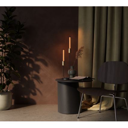 Nordlux - Lampadina decorativa dimmerabile per uso intensivo T30 E27/2,3W/230V 1800K