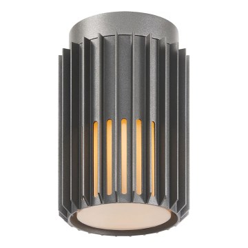 Nordlux - Plafoniera da esterno ALUDRA 1xE27/15W/230V diametro 12,4 cm antracite
