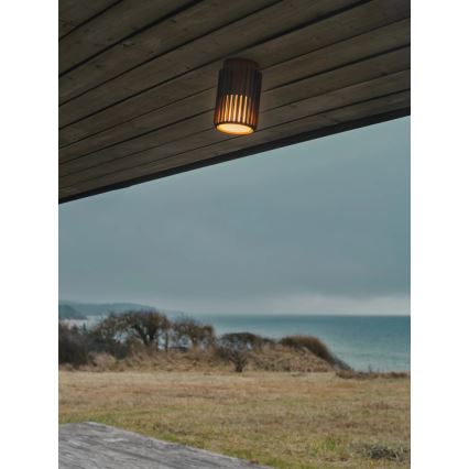 Nordlux - Plafoniera da esterno ALUDRA 1xE27/15W/230V marrone