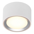 Nordlux - Plafoniera LED dimmerabile FALLON LED/5,5W/230V 2700K diametro 10 cm bianco
