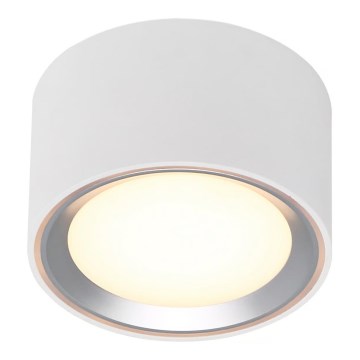 Nordlux - Plafoniera LED dimmerabile FALLON LED/5,5W/230V 2700K diametro 10 cm bianco