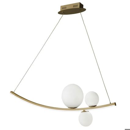 Ondaluce - Lampadario LED dimmerabile a cavo ALTALENA LED/48W/230V oro/bianco