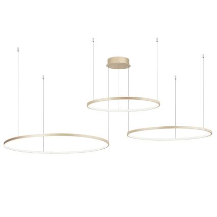 Ondaluce - Lampadario LED dimmerabile a sospensione su cavo SOEL LED/28W/230V + LED/38W + LED/47W Ø 100/80/60 cm oro