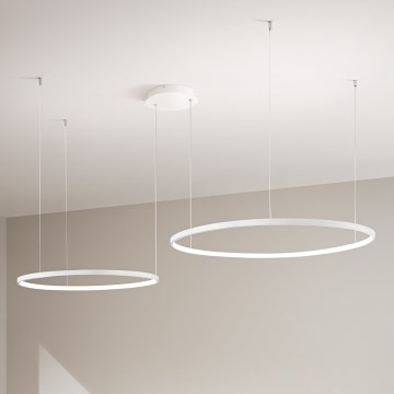 Ondaluce - Lampadario LED dimmerabile su cavo SOEL LED/28W/230V + LED/38W 3000/4000K Ø 80/60 cm bianco