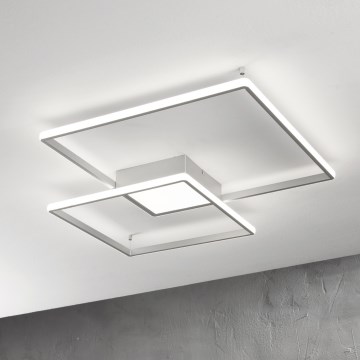 Ondaluce - Plafoniera LED dimmerabile DOWEL LED/60W/230V argento
