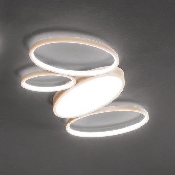 Ondaluce - Plafoniera LED dimmerabile RICE LED/34W/230V 45x80 cm dorata