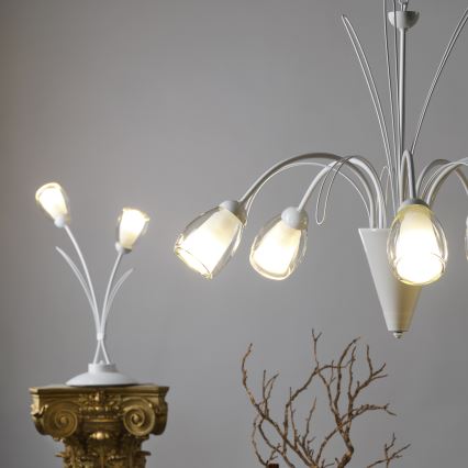 ONLI - Lampadario a sospensione con catena ANTEA 5xE14/6W/230V