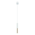 Open Design OR80841 - Lampada a sospensione su cavo SLIMI 1xG9/3,5W/230V bianco/oro