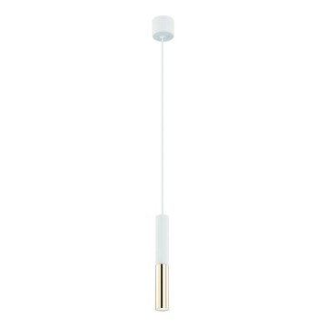 Open Design OR80841 - Lampada a sospensione su cavo SLIMI 1xG9/3,5W/230V bianco/oro