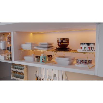 Organizzatore per scaffali 42x19 cm oro