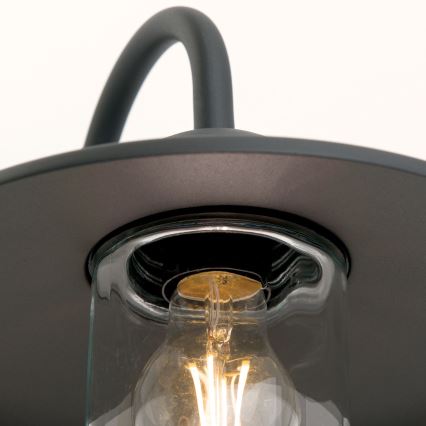 Applique da esterno EDWARD 1xE27/60W/230V IP44 nero