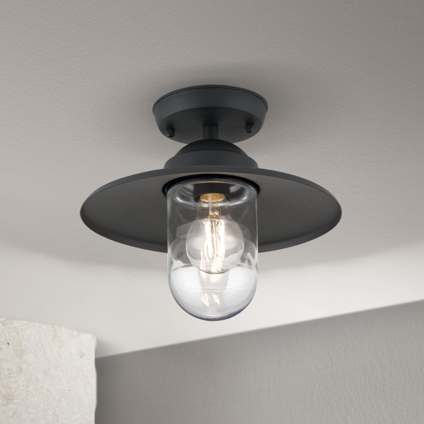Lampadario da esterno EDWARD 1xE27/60W/230V IP44 nero